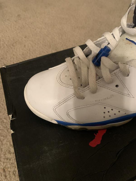 sneaker shields dunk